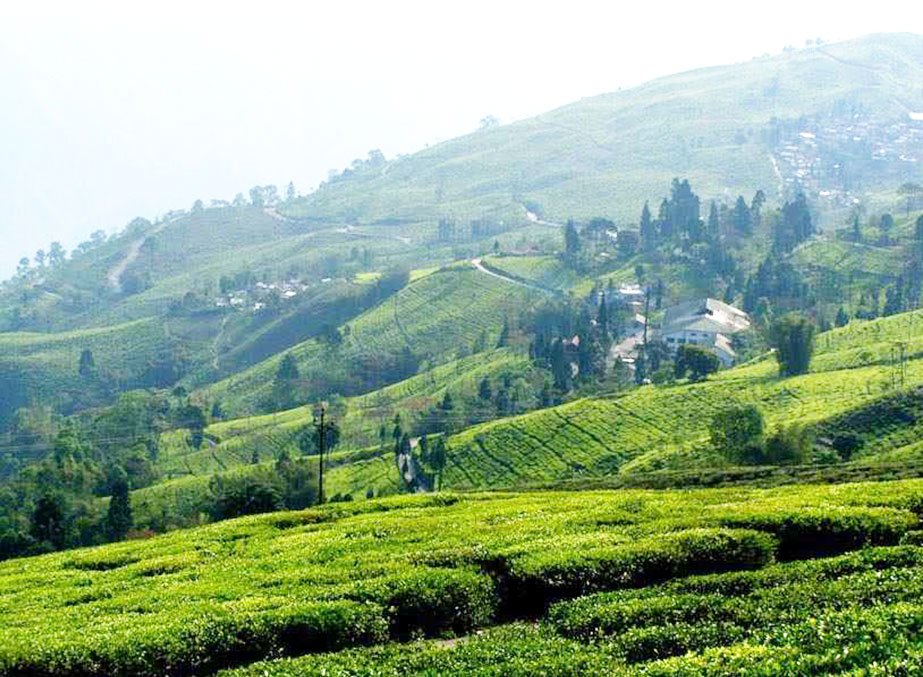 Gallery image 2 of 5 Days Tawang Tour Package