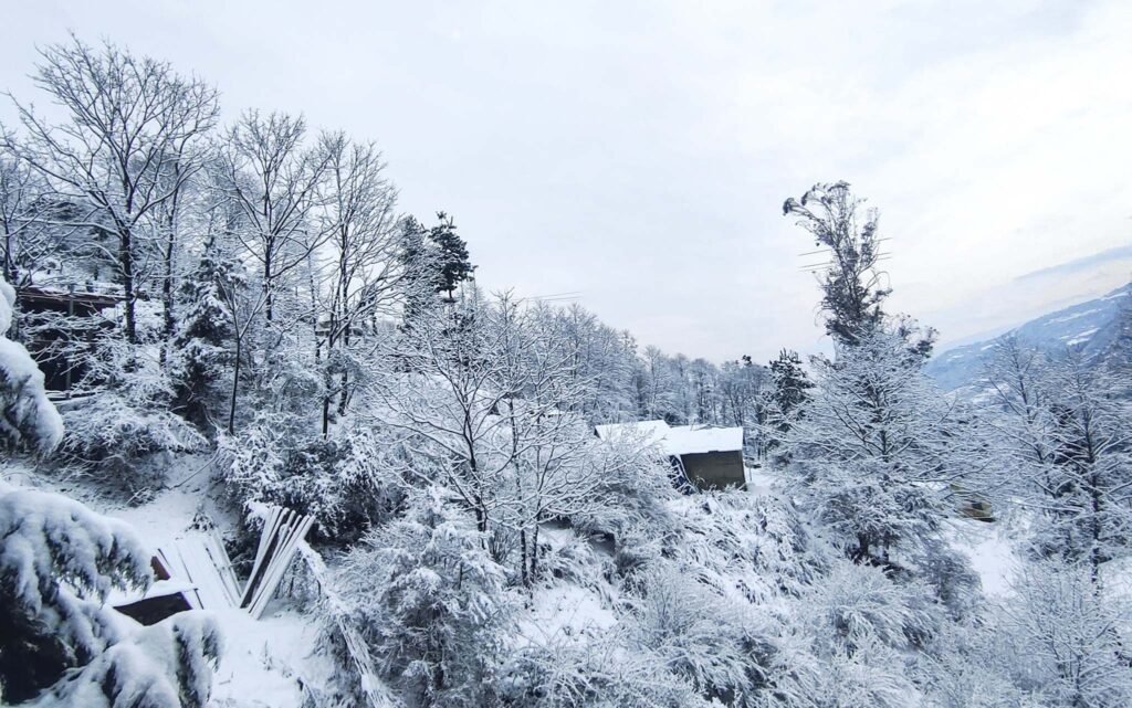 Gallery image 4 of 8 Days Tawang Tour Package