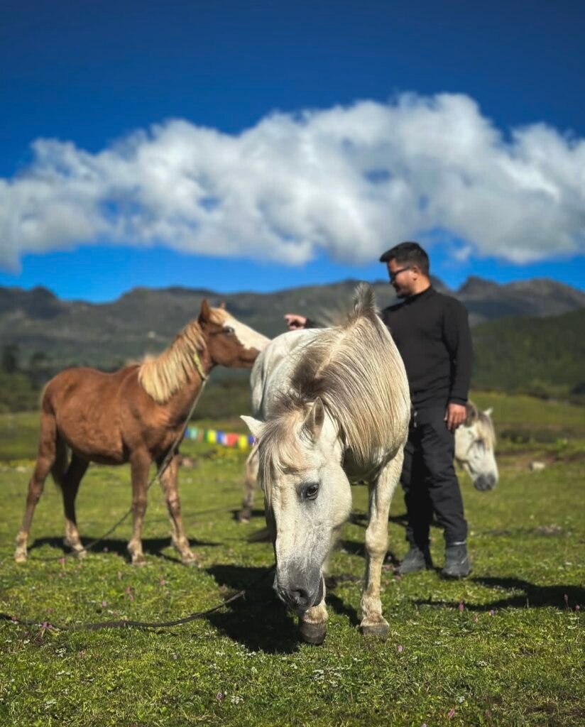 Gallery image 1 of 9 Days Tawang Tour Package