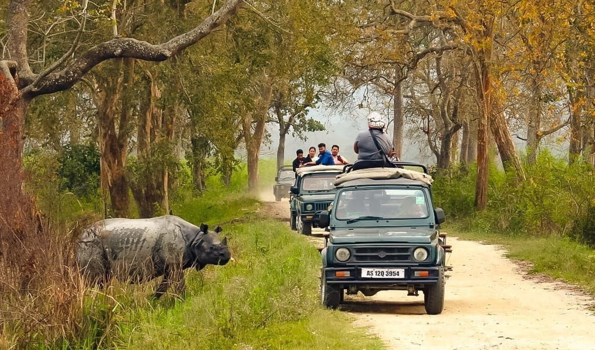 Gallery image 5 of TAWANG & KAZIRANGA TOUR 