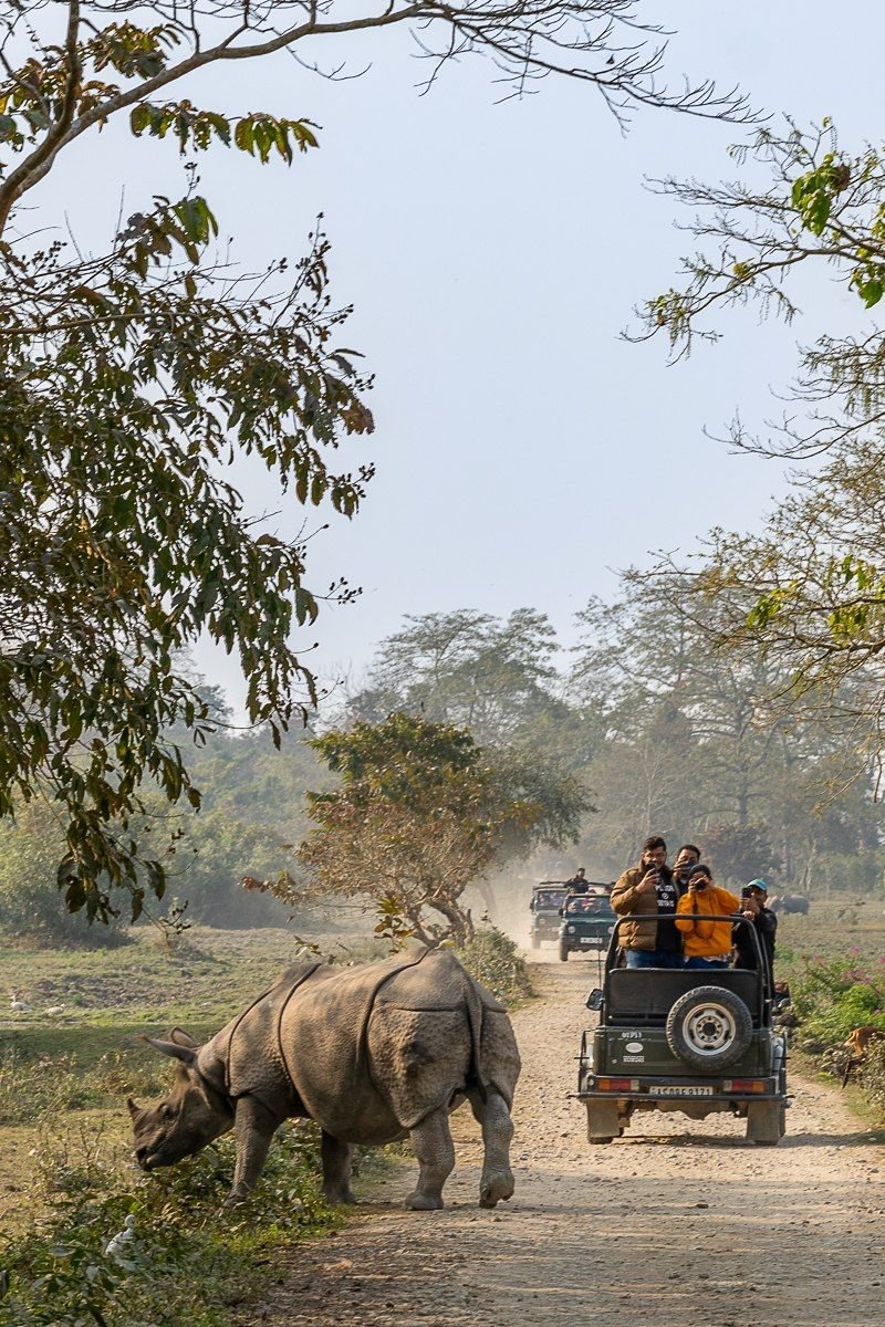 Kaziranga, Assam