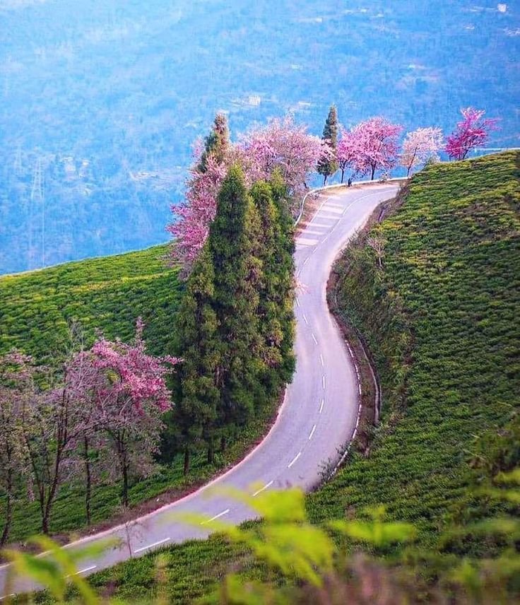 Nagaland Hills near Kohima